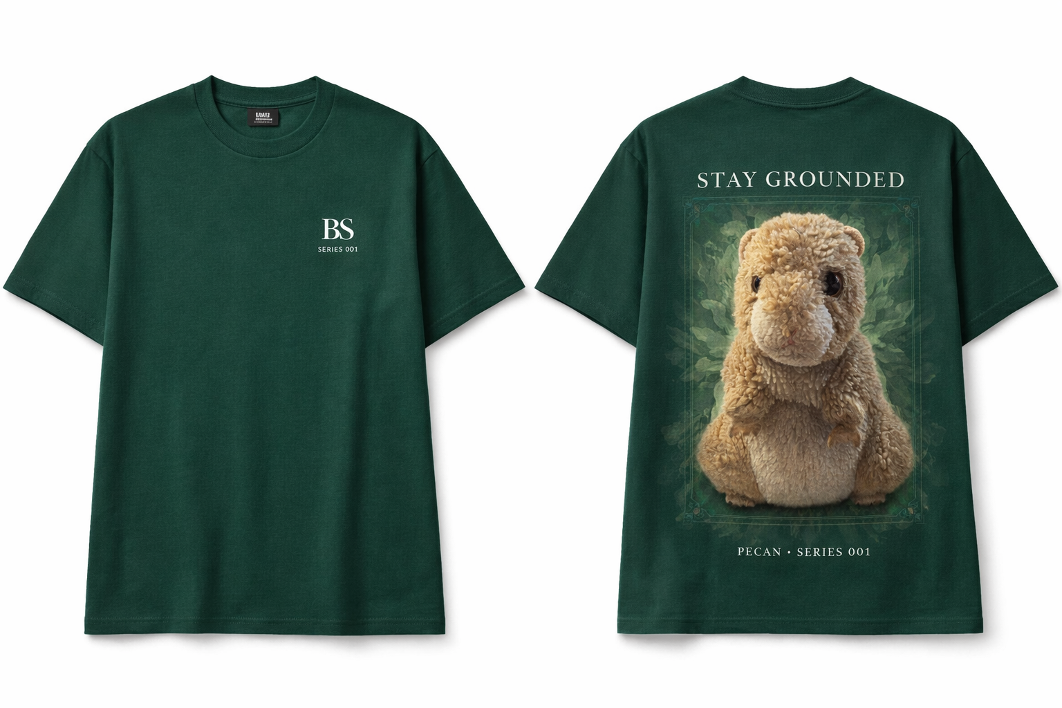 Pecan Hamster “Stay Grounded” Series 001