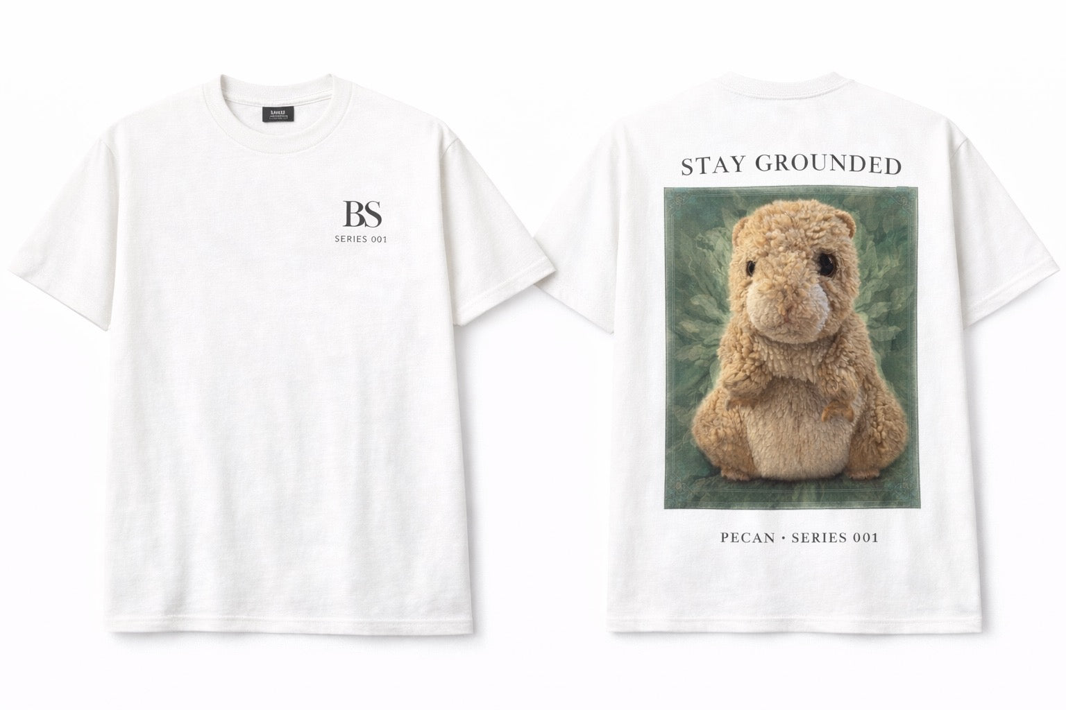 Pecan Hamster “Stay Grounded” Series 001
