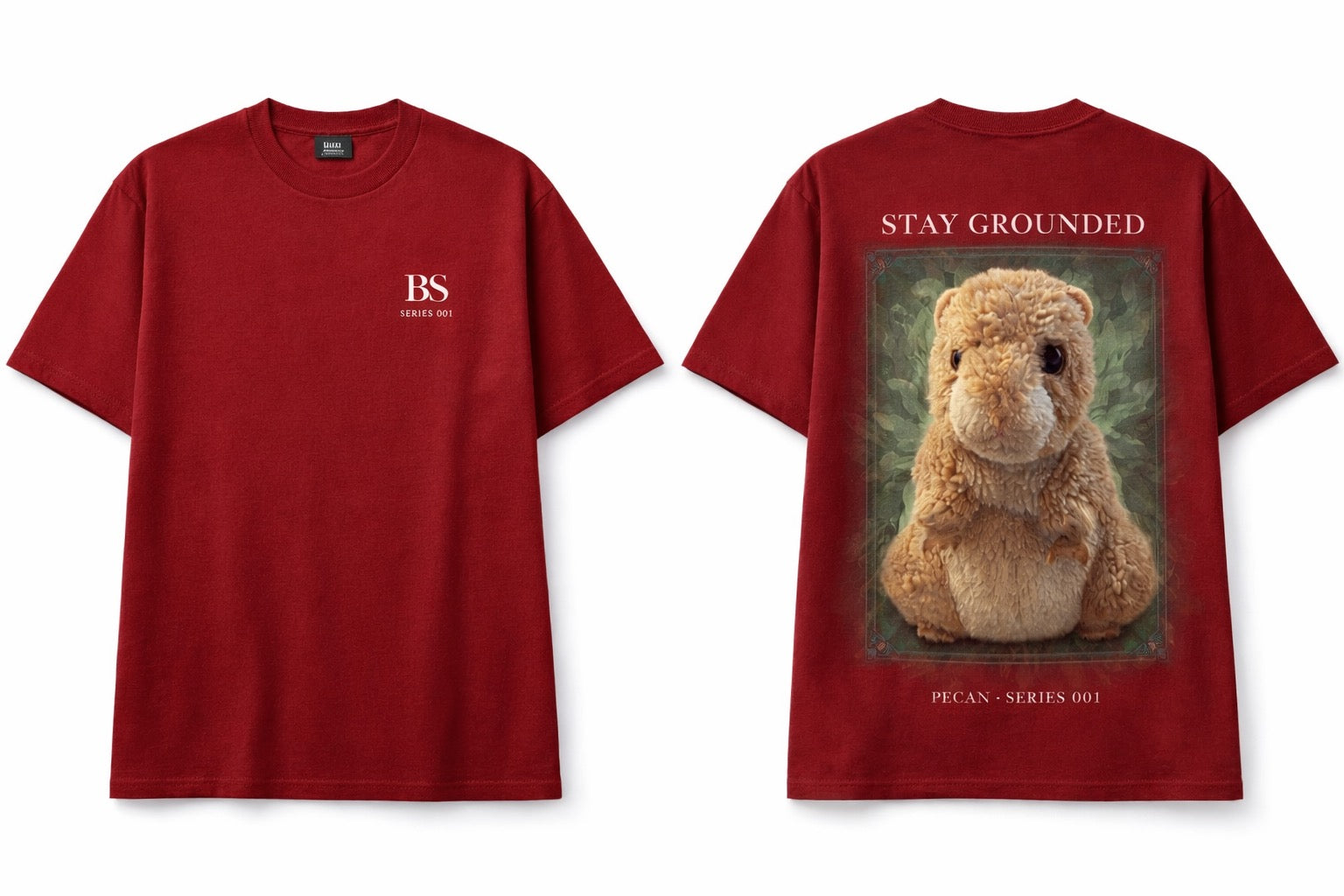 Pecan Hamster “Stay Grounded” Series 001