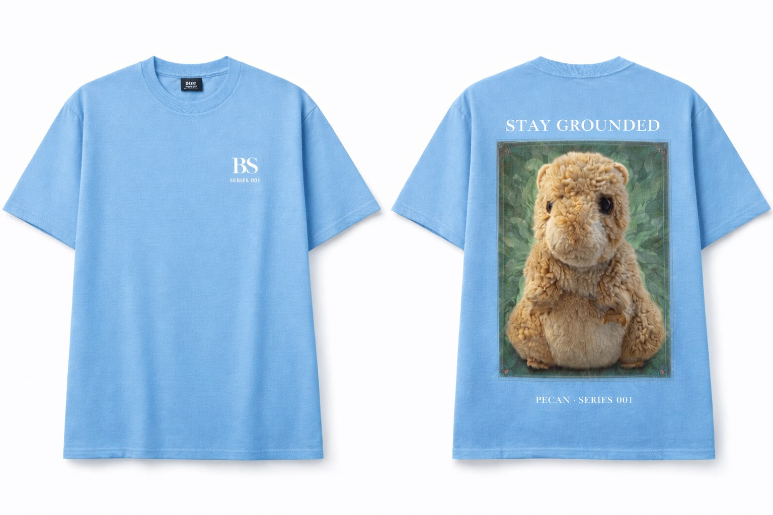 Pecan Hamster “Stay Grounded” Series 001