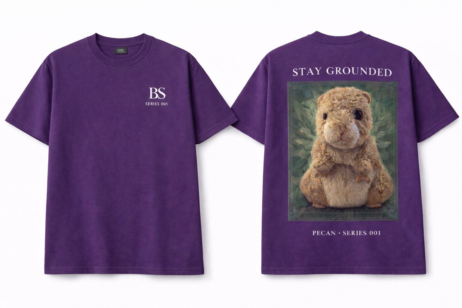 Pecan Hamster “Stay Grounded” Series 001